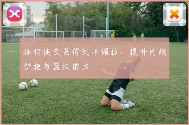 独行侠交易得到卡佩拉，提升内线护框与篮板能力